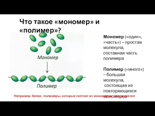 Что такое «мономер» и «полимер»? Мономер («один», «часть») – простая молекула,