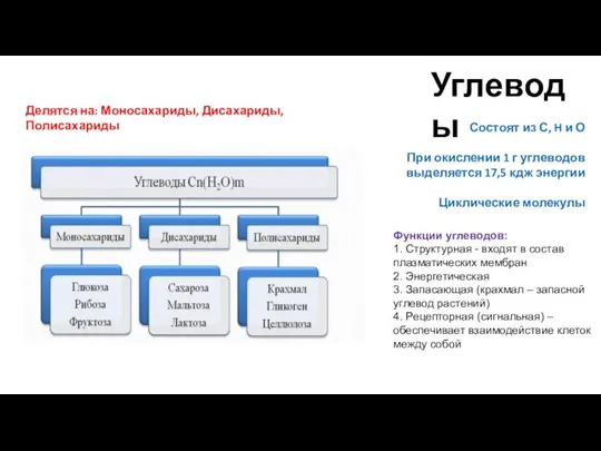 Углеводы Состоят из С, H и О При окислении 1 г