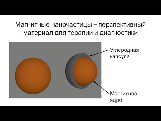 Магнитные наночастицы – перспективный материал для терапии и диагностики Магнитное ядро Углеродная капсула