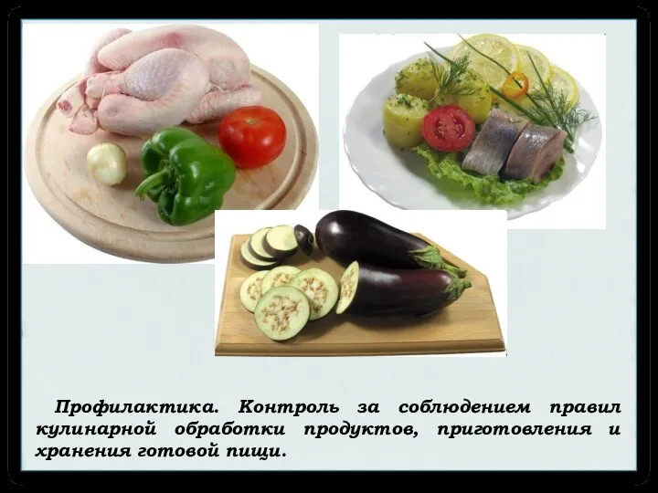 Профилактика. Контроль за соблюдением правил кулинарной обработки продуктов, приготовления и хранения готовой пищи.