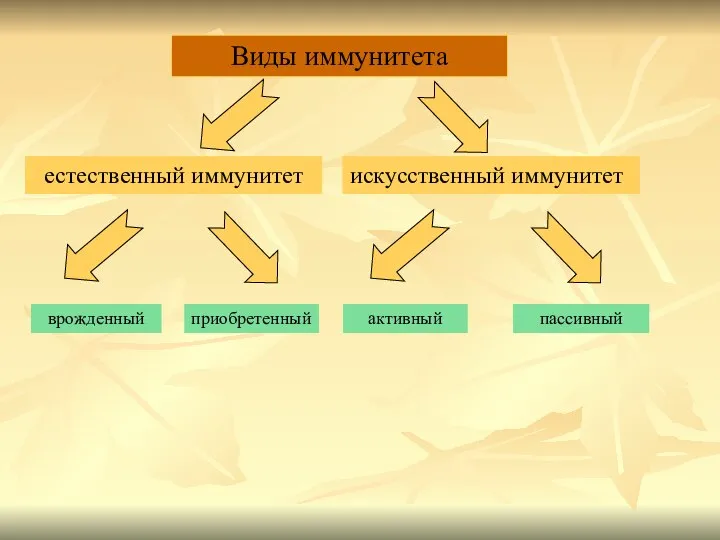 Виды иммунитета врожденный искусственный иммунитет приобретенный активный пассивный естественный иммунитет