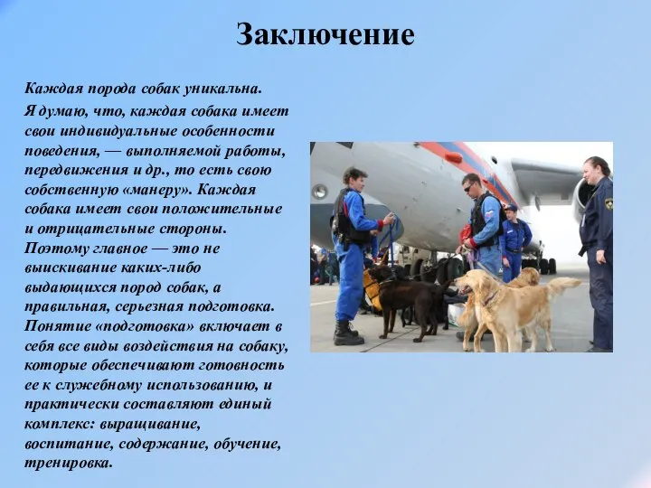 Заключение Каждая порода собак уникальна. Я думаю, что, каждая собака имеет