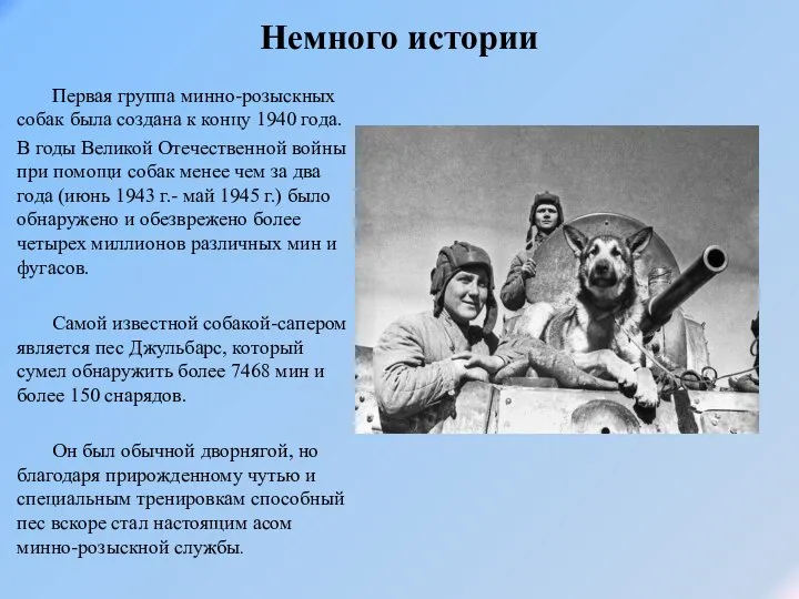 Немного истории Первая группа минно-розыскных собак была создана к концу 1940