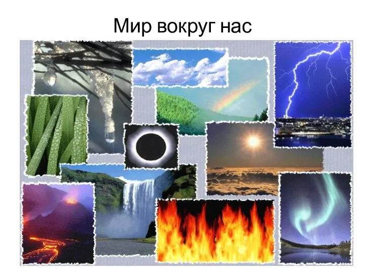 Мир вокруг нас