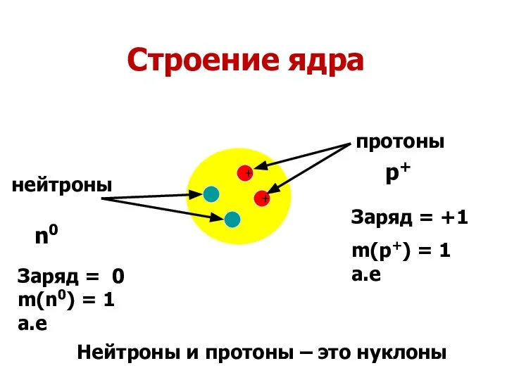 + + Строение ядра протоны нейтроны n0 p+ Заряд = +1