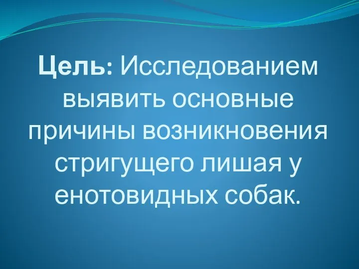 Цель: Исследованием выявить основные причины возникновения стригущего лишая у енотовидных собак.