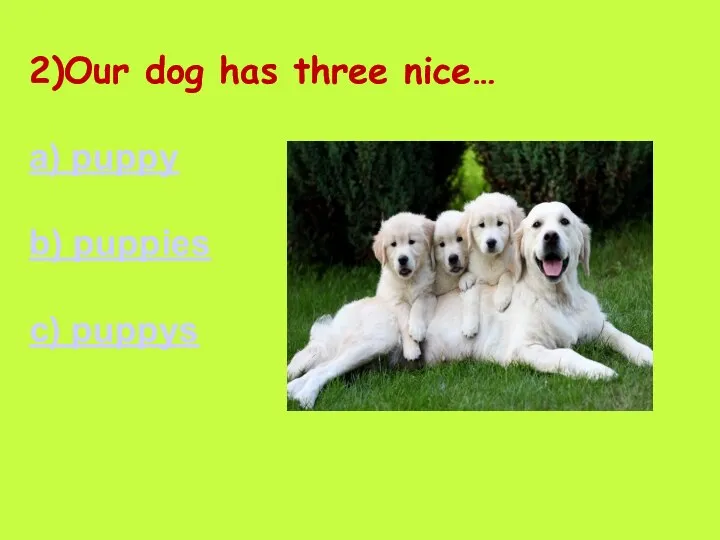 2)Our dog has three nice… a) puppy b) puppies c) puppys