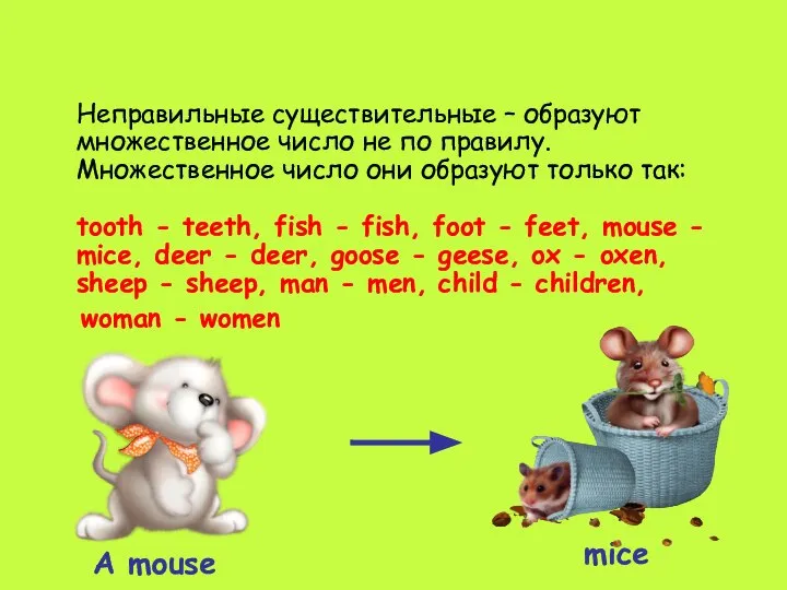 Неправильные существительные – образуют множественное число не по правилу. Множественное число