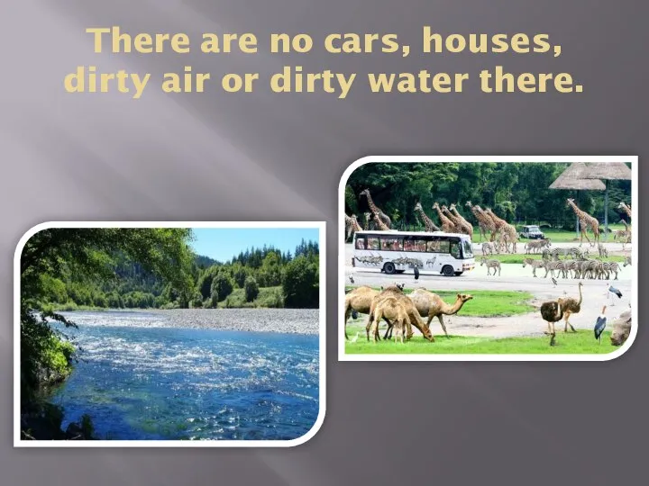 There are no cars, houses, dirty air or dirty water there.