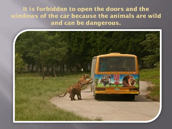 It is forbidden to open the doors and the windows of