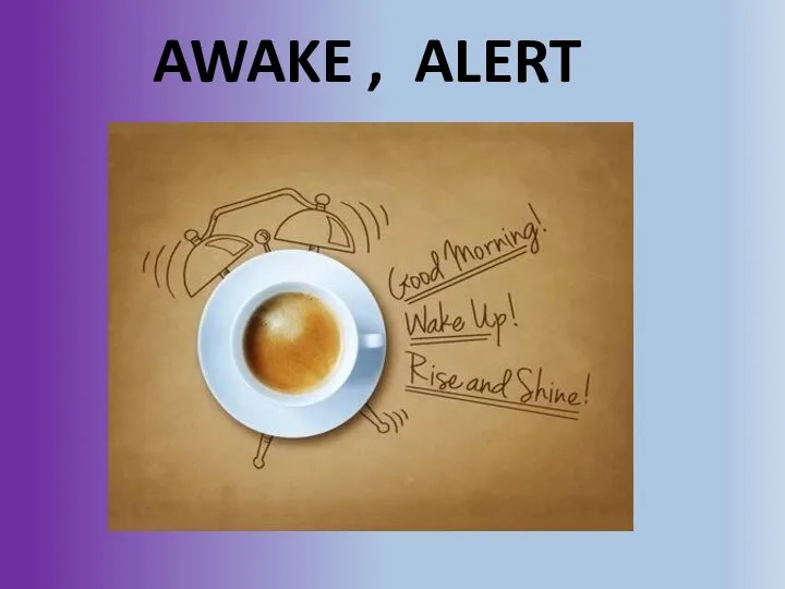 AWAKE , ALERT