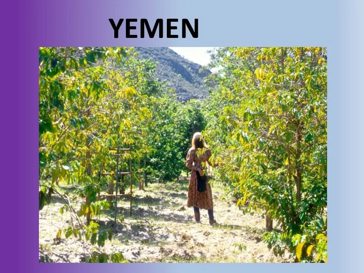 YEMEN