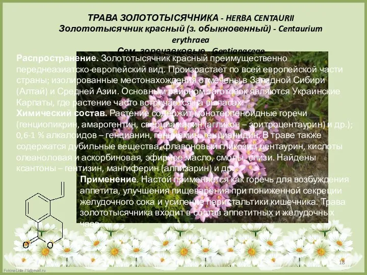 ТРАВА ЗОЛОТОТЫСЯЧНИКА - HERBA CENTAURII Золототысячник красный (з. обыкновенный) - Centaurium