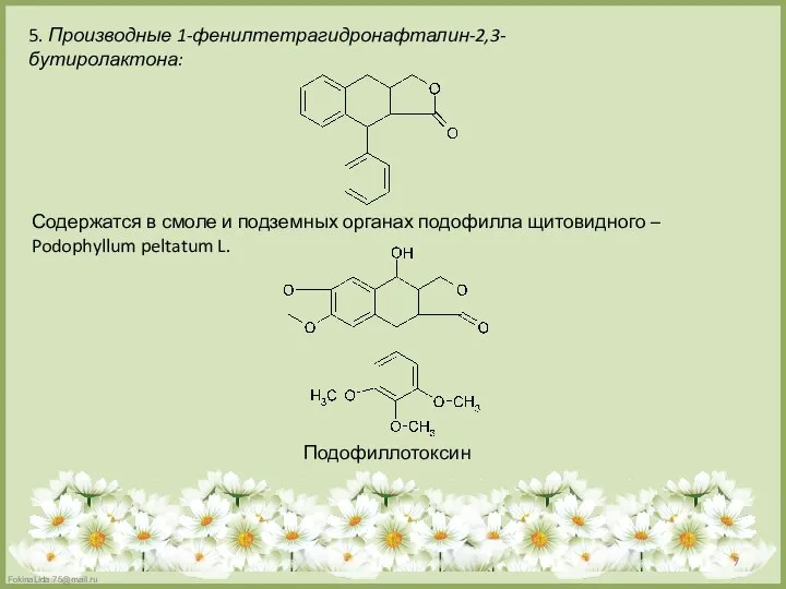 5. Производные 1-фенилтетрагидронафталин-2,3-бутиролактона: Содержатся в смоле и подземных органах подофилла щитовидного – Podophyllum peltatum L. Подофиллотоксин