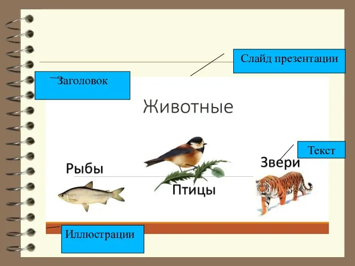 Слайд презентации Заголовок Текст Иллюстрации