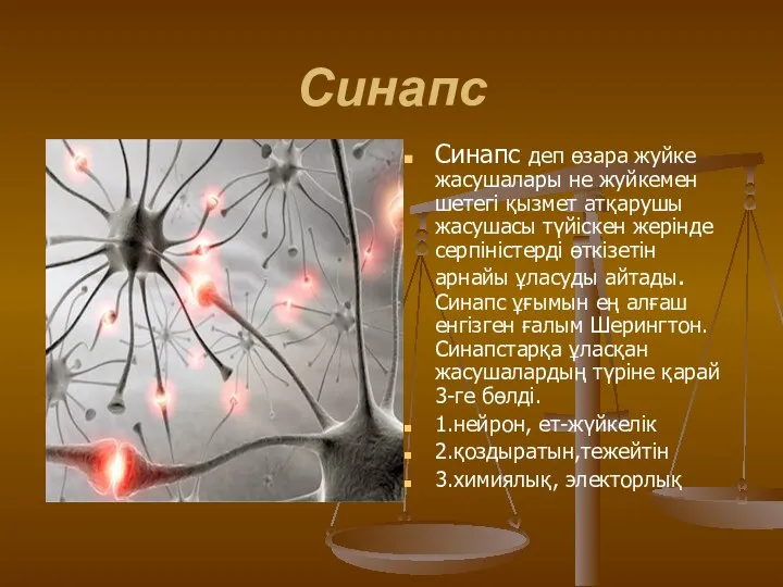 Синапс Синапс деп өзара жуйке жасушалары не жуйкемен шетегі қызмет атқарушы