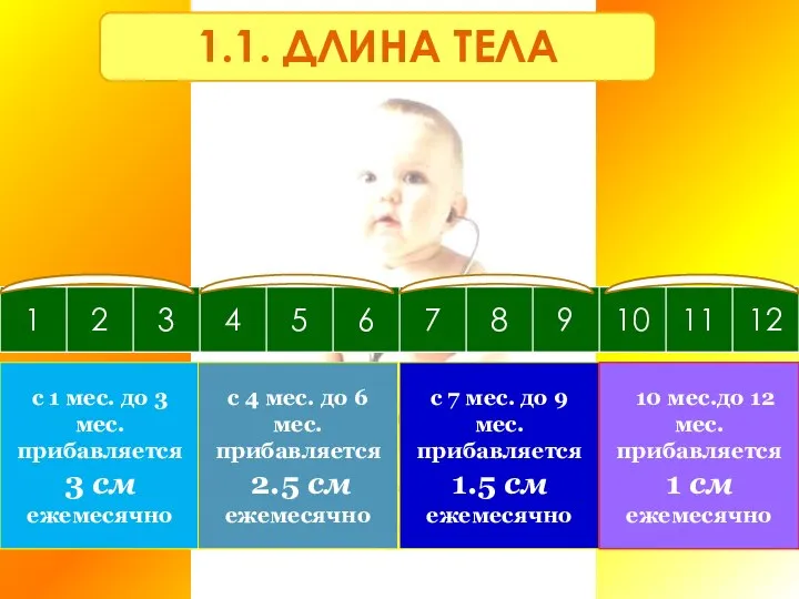 1.1. ДЛИНА ТЕЛА с 1 мес. до 3 мес. прибавляется 3