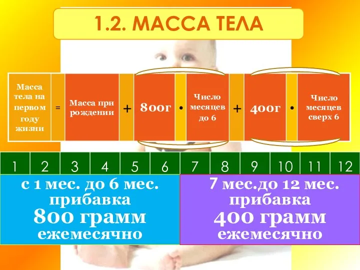 1.2. МАССА ТЕЛА с 1 мес. до 6 мес. прибавка 800