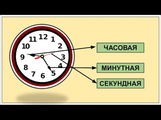 ЧАСОВАЯ МИНУТНАЯ СЕКУНДНАЯ