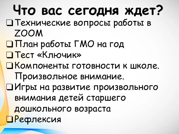 Что вас сегодня ждет? Технические вопросы работы в ZOOM План работы