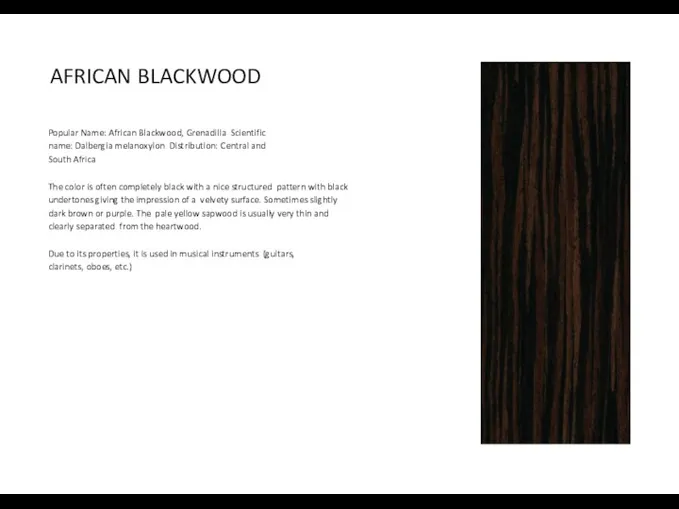 AFRICAN BLACKWOOD Popular Name: African Blackwood, Grenadilla Scientific name: Dalbergia melanoxylon