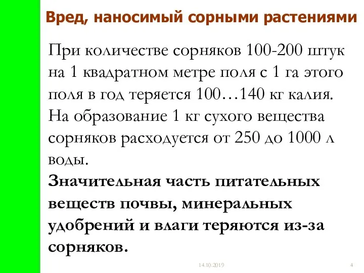 14.10.2019 При количестве сорняков 100-200 штук на 1 квадратном метре поля