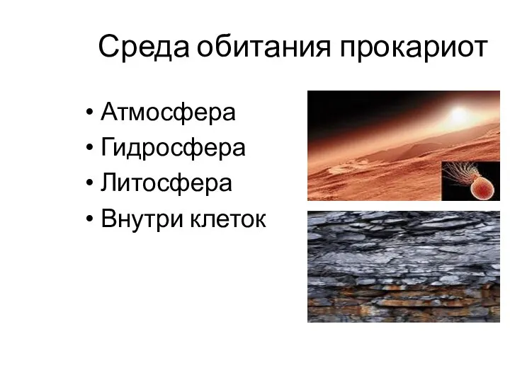 Среда обитания прокариот Атмосфера Гидросфера Литосфера Внутри клеток