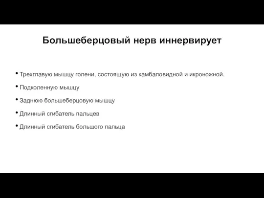 Трехглавую мышцу голени, состоящую из камбаловидной и икроножной. Подколенную мышцу Заднюю