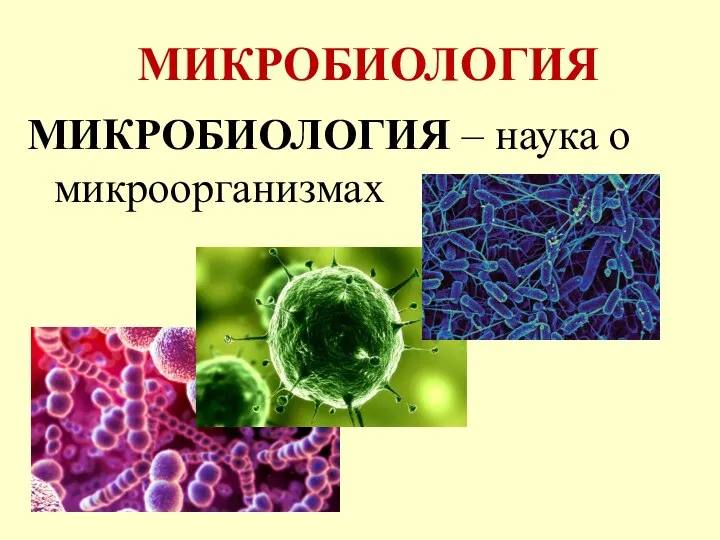 МИКРОБИОЛОГИЯ МИКРОБИОЛОГИЯ – наука о микроорганизмах