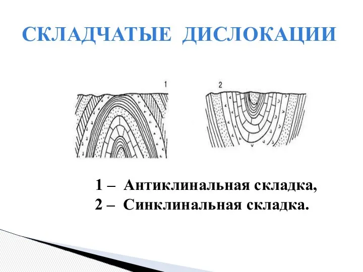 СКЛАДЧАТЫЕ ДИСЛОКАЦИИ 1 – Антиклинальная складка, 2 – Синклинальная складка.