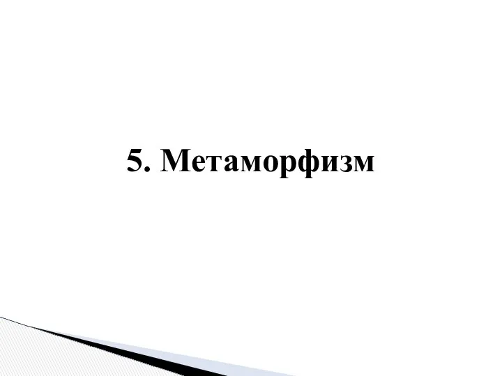 5. Метаморфизм