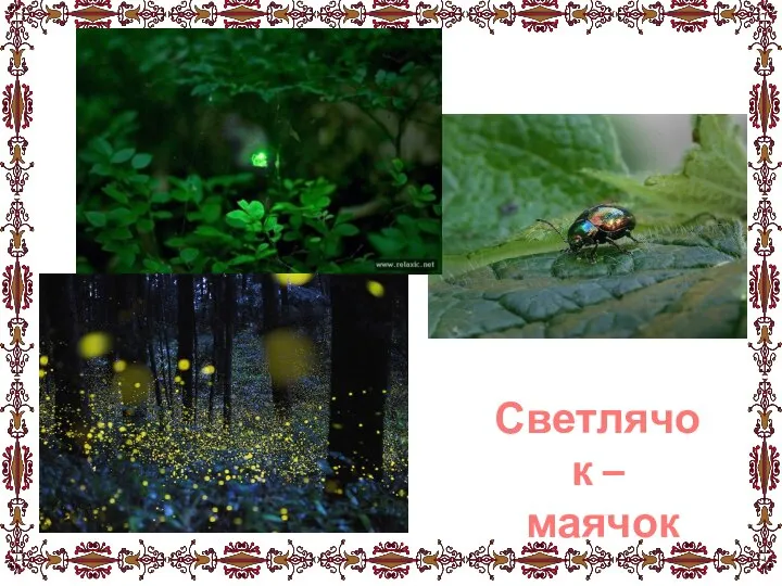 Светлячок – маячок