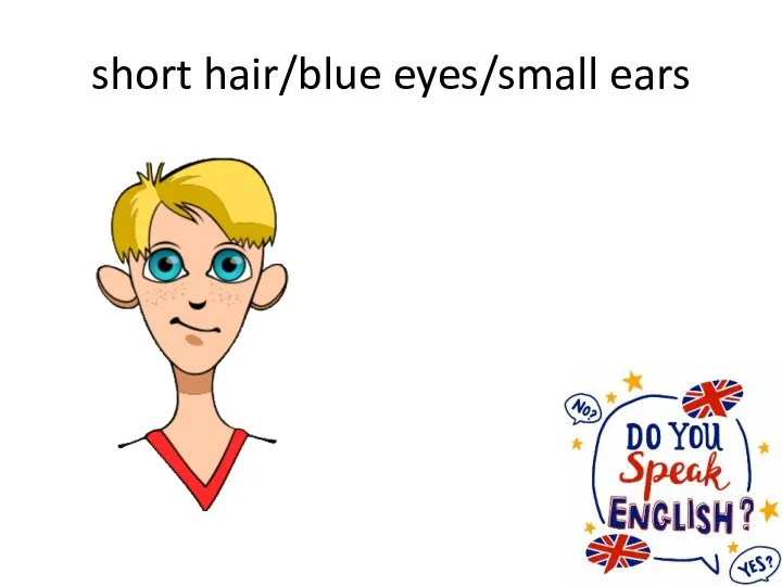 short hair/blue eyes/small ears