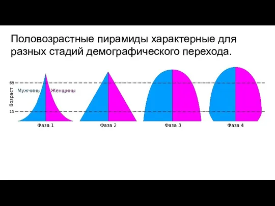 Половозрастные пирамиды характерные для разных стадий демографического перехода.