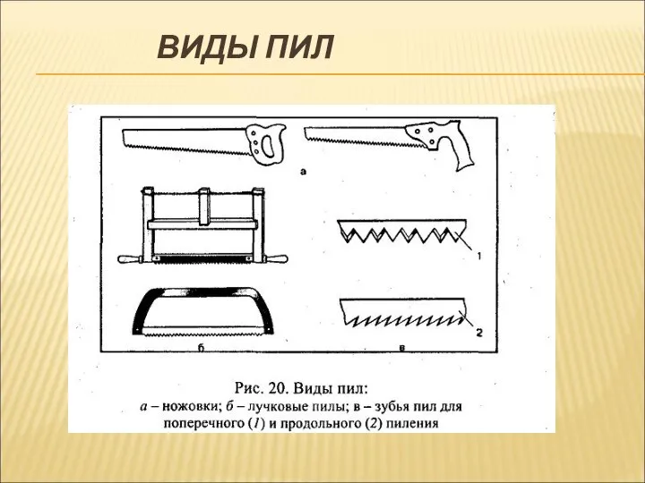 ВИДЫ ПИЛ