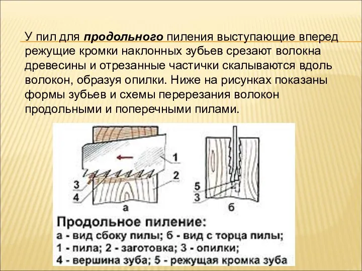 У пил для продольного пиления выступающие вперед режущие кромки наклонных зубьев