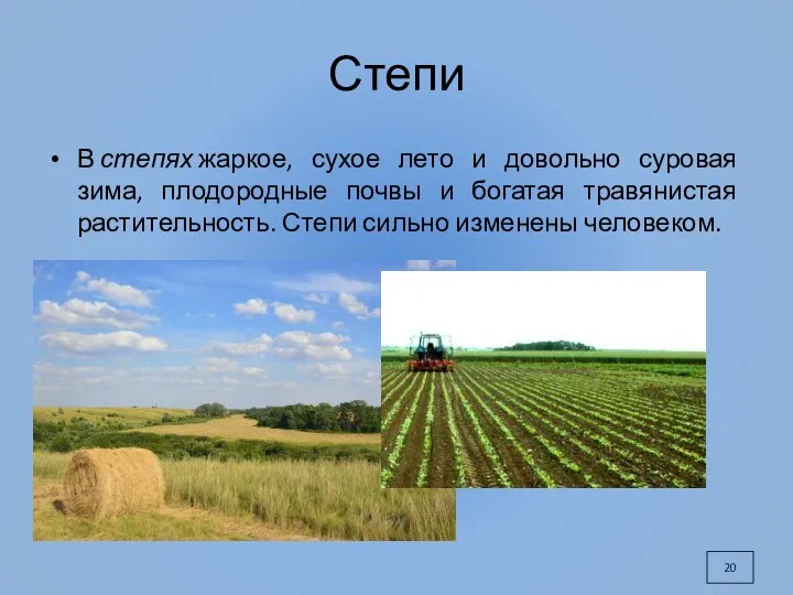 Степи В степях жаркое, сухое лето и довольно суровая зима, плодородные