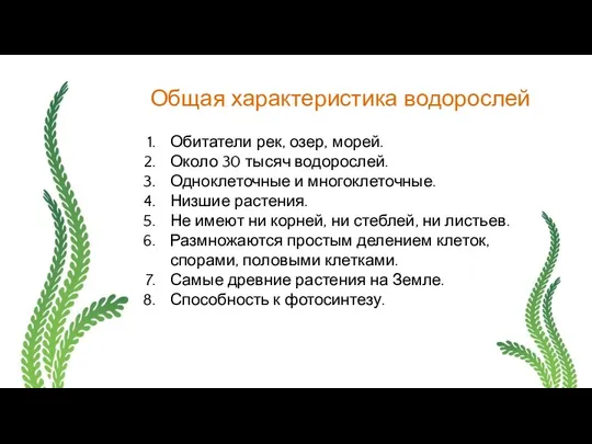 Общая характеристика водорослей Обитатели рек, озер, морей. Около 30 тысяч водорослей.