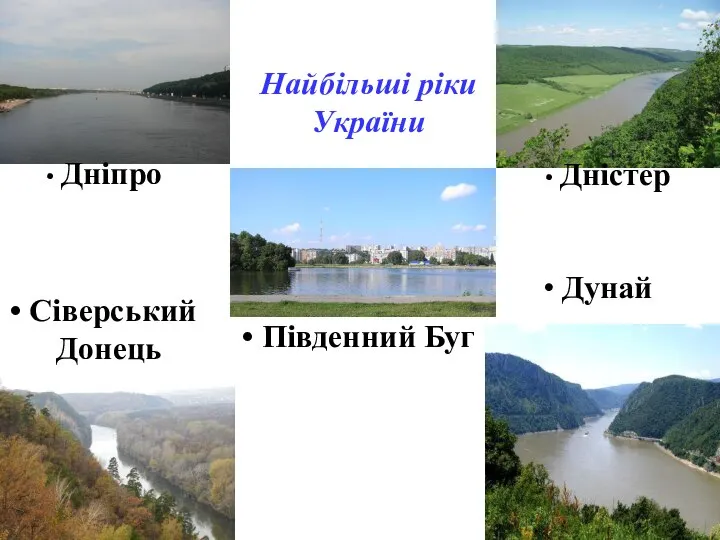 Найбільші ріки України Дністер Дунай Сіверський Донець Південний Буг Дніпро