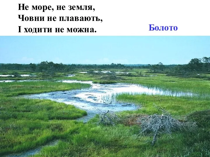 Не море, не земля, Човни не плавають, І ходити не можна. Болото