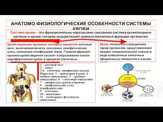 АНАТОМО-ФИЗИОЛОГИЧЕСКИЕ ОСОБЕННОСТИ СИСТЕМЫ КРОВИ Система крови – это функционально неразрывно связанная