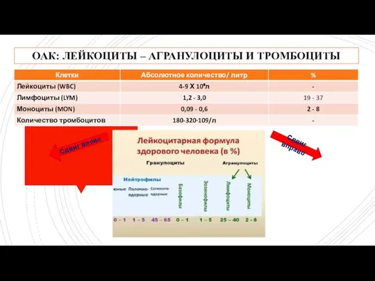 ОАК: ЛЕЙКОЦИТЫ – АГРАНУЛОЦИТЫ И ТРОМБОЦИТЫ Сдвиг влево Сдвиг вправо