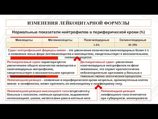 ИЗМЕНЕНИЯ ЛЕЙКОЦИТАРНОЙ ФОРМУЛЫ Нормальные показатели нейтрофилов в периферической крови (%) Сдвиг