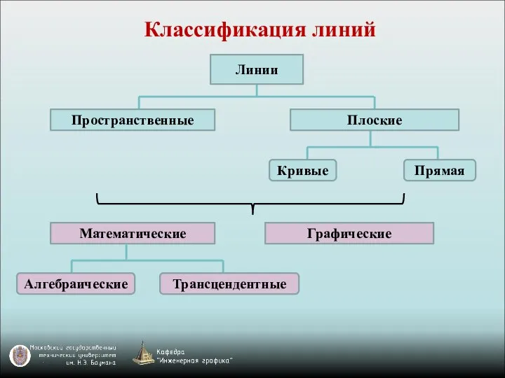 Классификация линий Кривые Линии Плоские Прямая Пространственные Математические Графические Алгебраические Трансцендентные