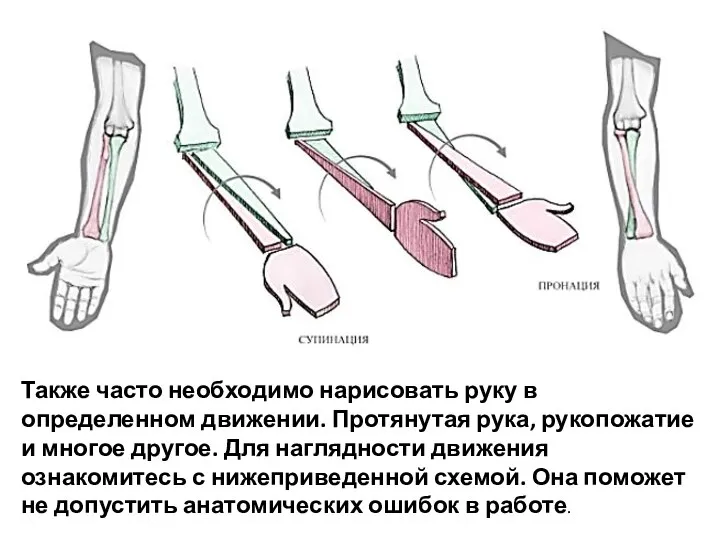 Также часто необходимо нарисовать руку в определенном движении. Протянутая рука, рукопожатие