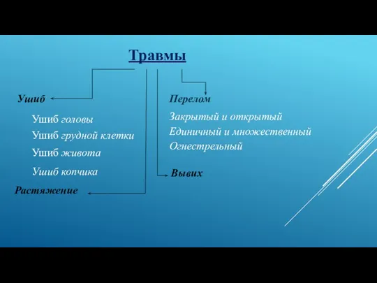 Травмы Ушиб Ушиб головы Ушиб грудной клетки Ушиб живота Ушиб копчика