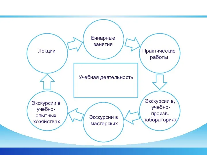 Лекции Бинарные занятия Практические работы Экскурсии в, учебно-произв. лабораториях Экскурсии в