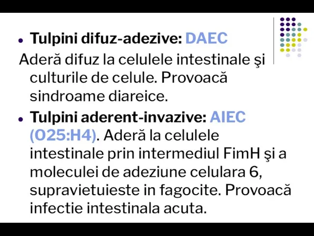 Tulpini difuz-adezive: DAEC Aderă difuz la celulele intestinale şi culturile de