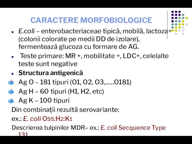 CARACTERE MORFOBIOLOGICE E.coli – enterobacteriaceae tipică, mobilă, lactoza+ (colonii colorate pe