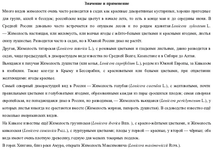 Значение и применение Много видов жимолости очень часто разводятся в садах